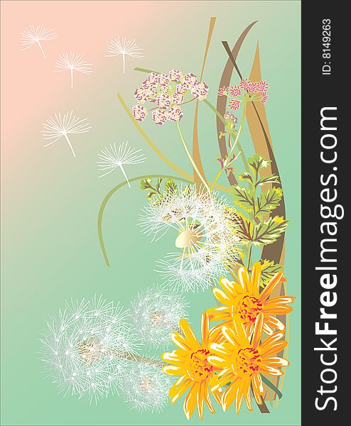 Illustration with white dandelions and yellow flowers