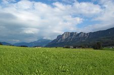 Alpine Grass Stock Photography Alpine Grass Stock Photography