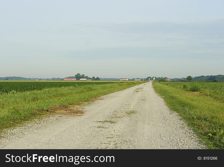 Country road surrounded by farm fields.