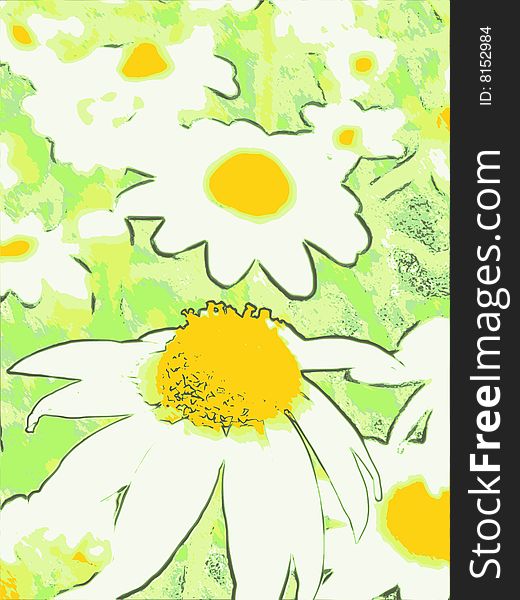 An illustration of some daisies. An illustration of some daisies