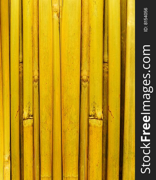 Bamboo stalks