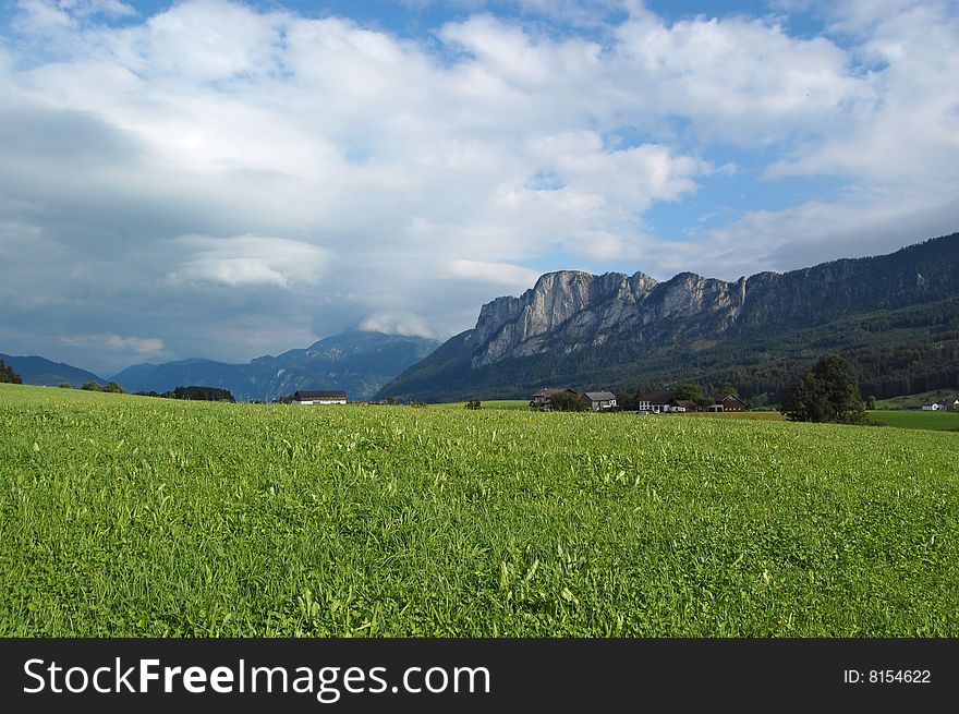 Alpine meadow with green grass and blue sky. Alpine meadow with green grass and blue sky