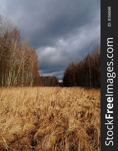 Silence before the storm, dark clouds, forest, meadow