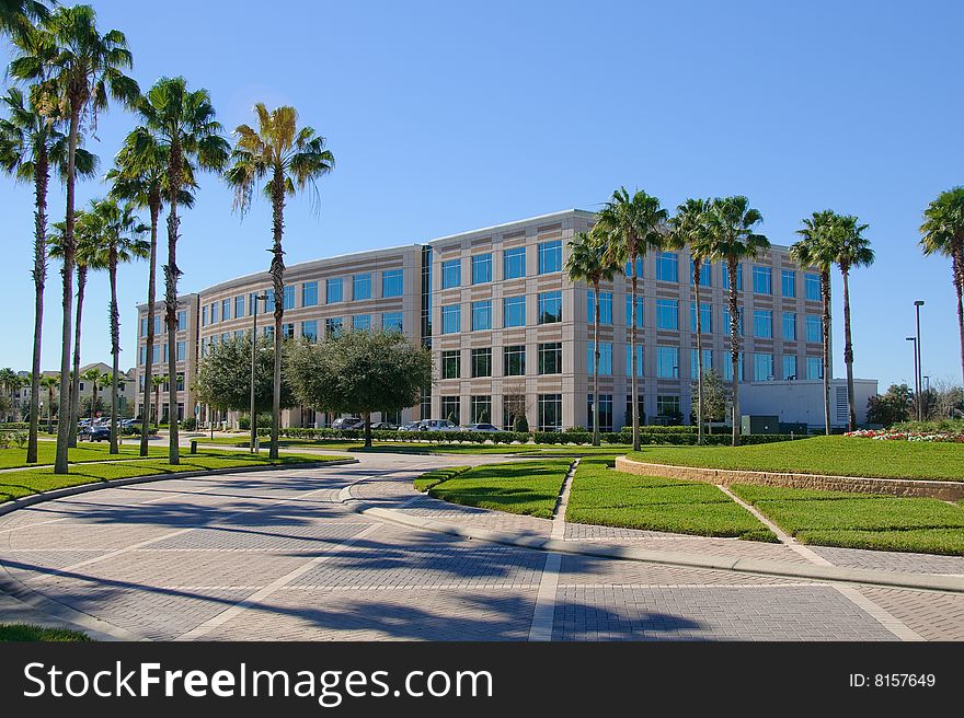 Office Building With Palms