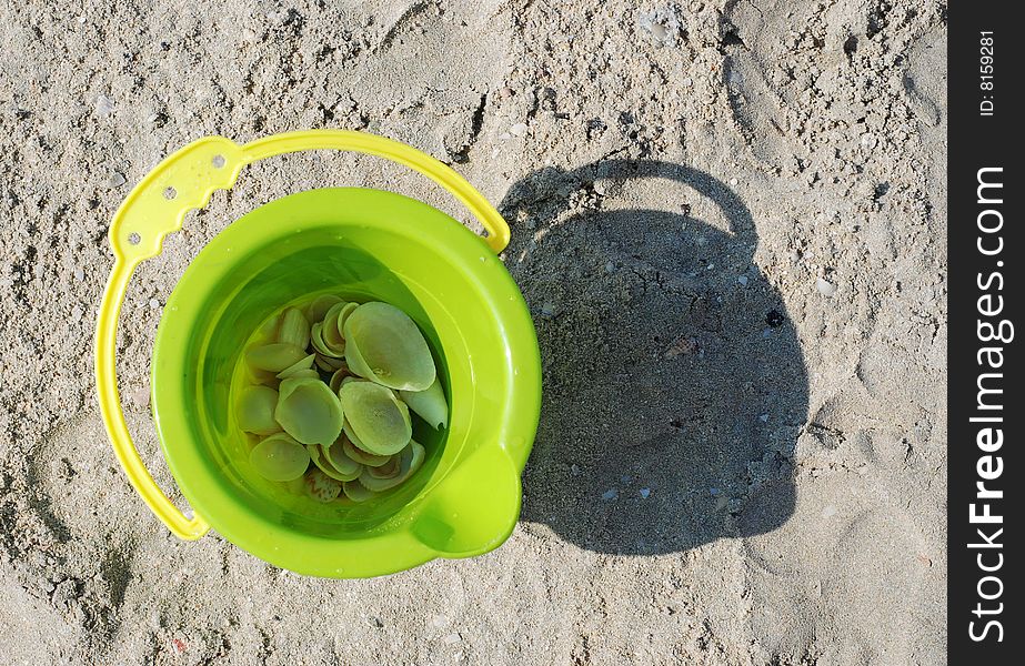 Toy bucket with shells on beach isolated over white
