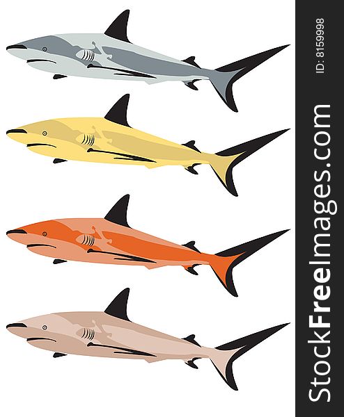 Vector illustration of a shark in four different colors. Vector illustration of a shark in four different colors