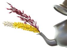 Teapot Royalty Free Stock Photo Teapot Royalty Free Stock Photo
