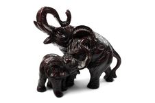 Couple Of Elephants Royalty Free Stock Image Couple Of Elephants Royalty Free Stock Image