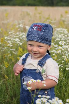 The Kid And Camomiles Stock Photography The Kid And Camomiles Stock Photography