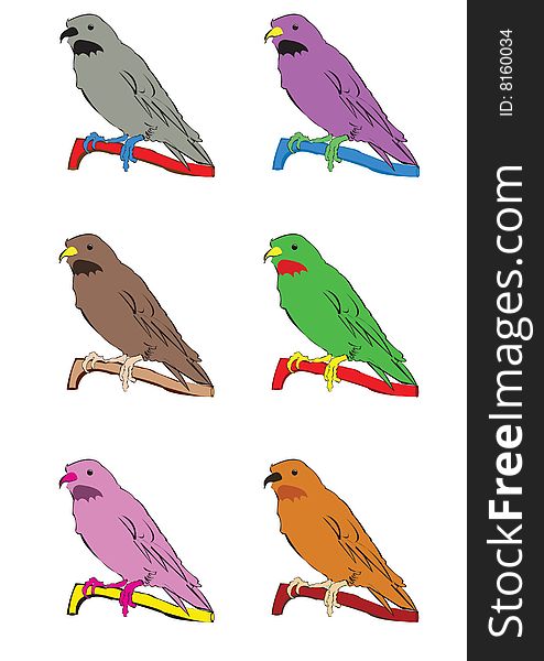 Vector illustration of a canary in 6 different color sets. Vector illustration of a canary in 6 different color sets