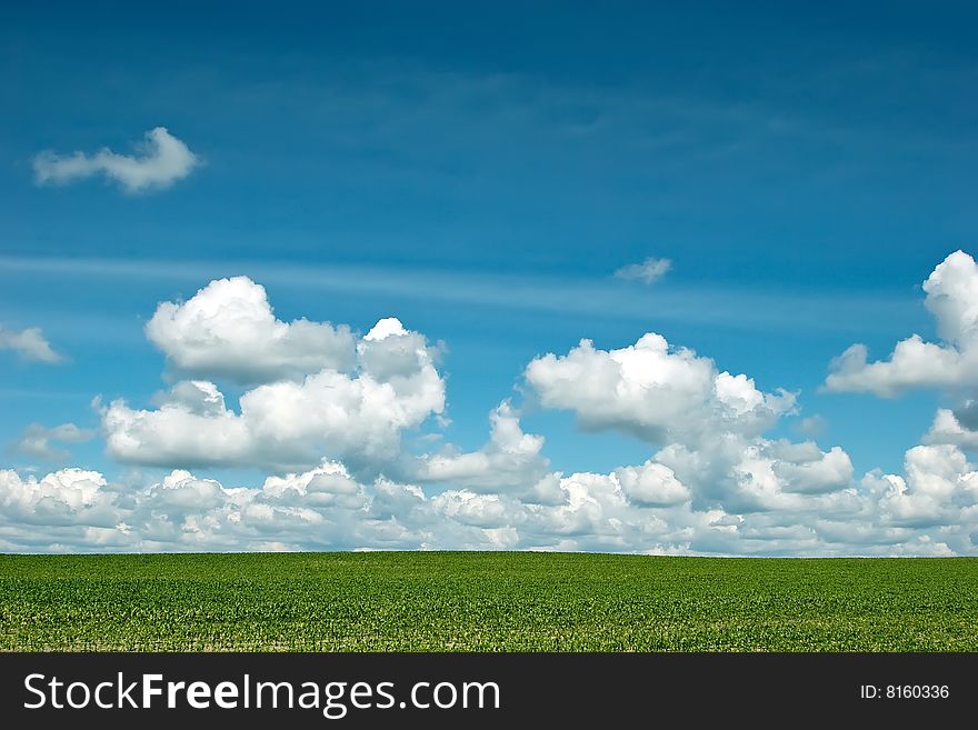 Background Of Cloudy Sky And Grass