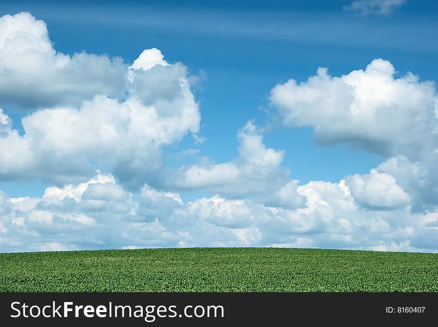 Green grass, the blue sky and white clouds. Green grass, the blue sky and white clouds