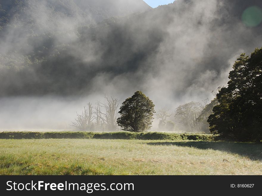 The morning mist on the grassland, New Zealand