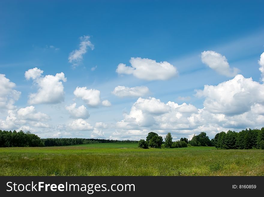 Green grass, the blue sky and white clouds. Green grass, the blue sky and white clouds
