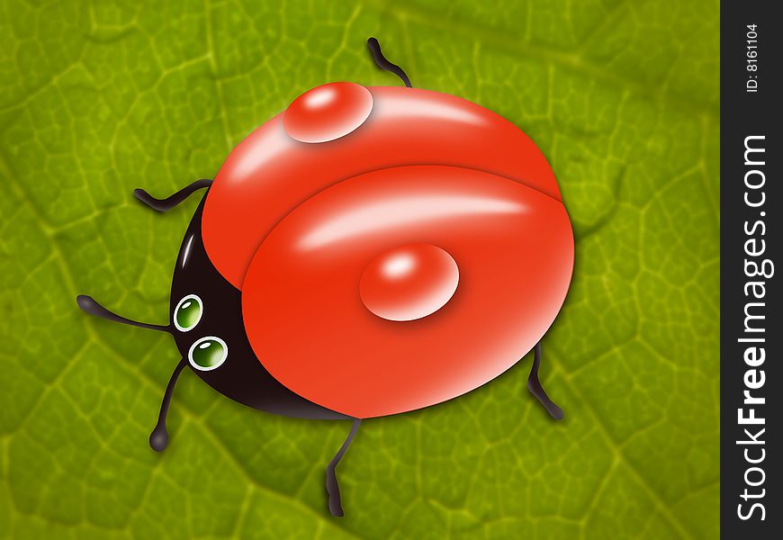 Color picture with leaf and ladybird