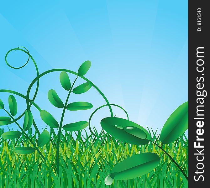 Ecological green background. Vector illustration. Ecological green background. Vector illustration