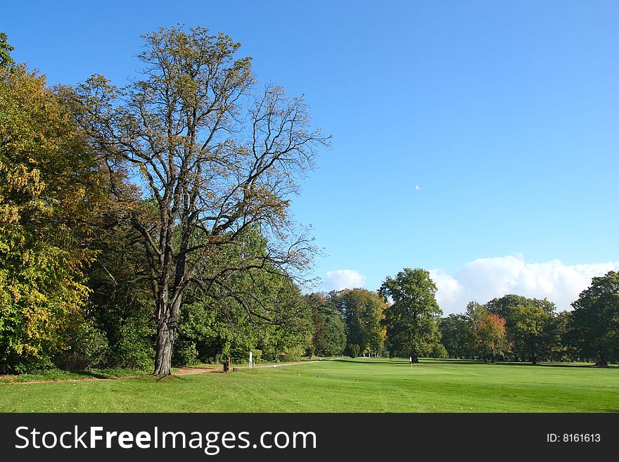 Summer day in park on a neat golf course. Summer day in park on a neat golf course