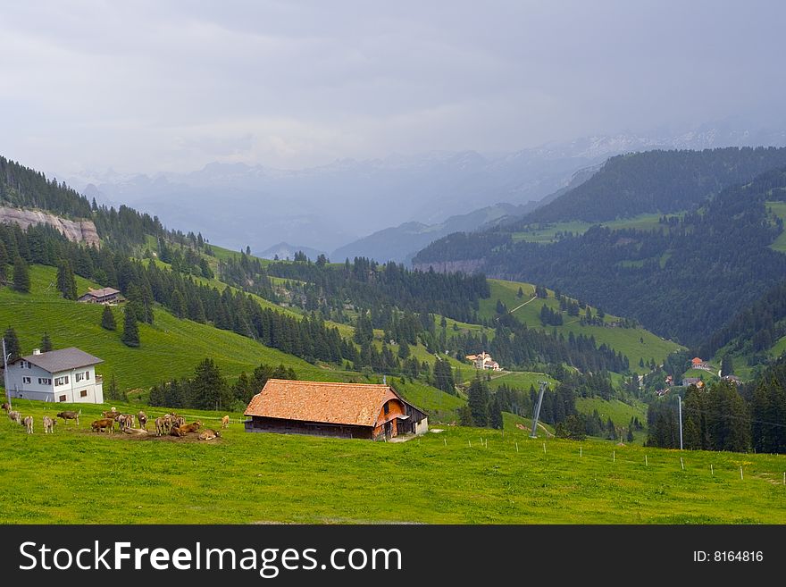 Swiss Alpine hills  from the way to Rigi kulm. Swiss Alpine hills  from the way to Rigi kulm