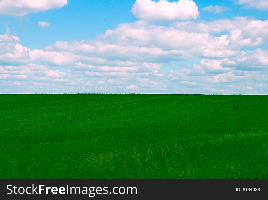 Green field and blue sky