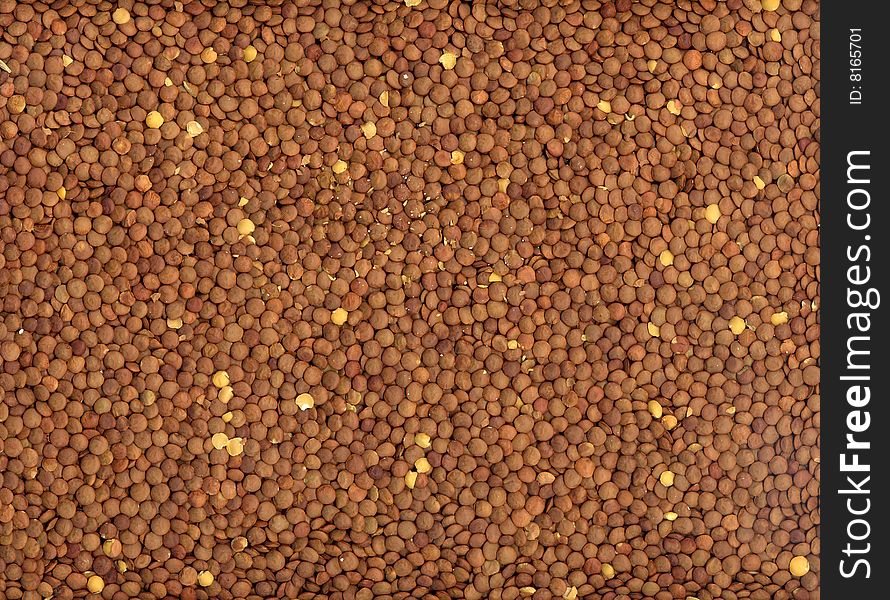 Textured surface of lentil beans. Textured surface of lentil beans