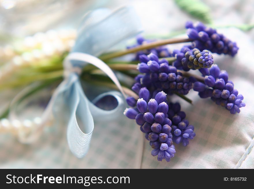 Tender spring blue hyacinth in close up, nice postcard. Tender spring blue hyacinth in close up, nice postcard