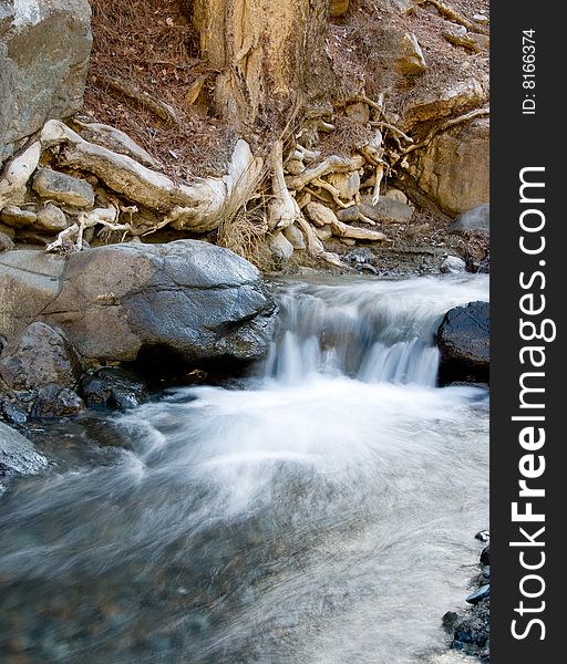 Water stream and tree roots from Troodos area in Cyprus. Water stream and tree roots from Troodos area in Cyprus.