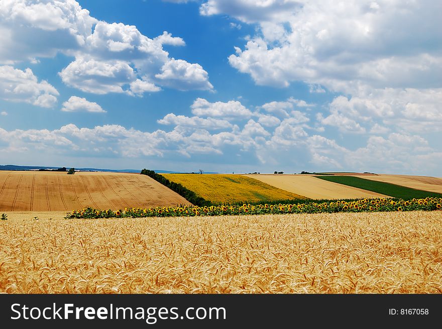 A scenic view of several colorful farming fields. A scenic view of several colorful farming fields