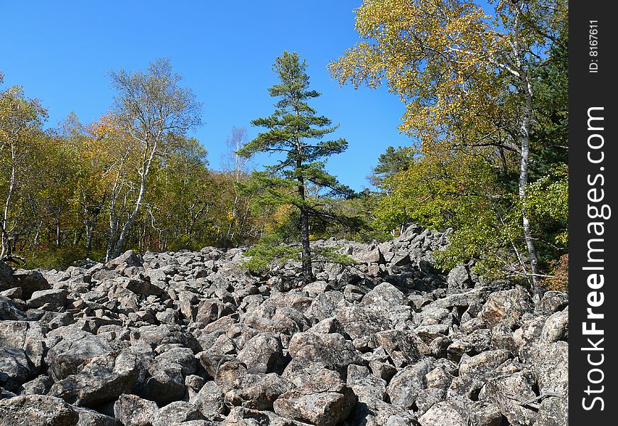 A landscape of autumn highland taiga. A landscape of autumn highland taiga.