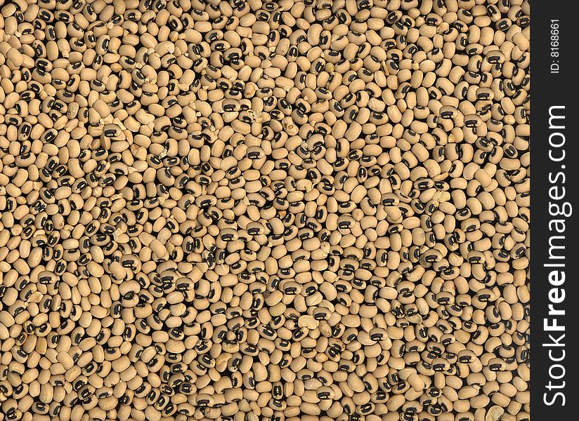 Scan of a random assortment of blackeye peas