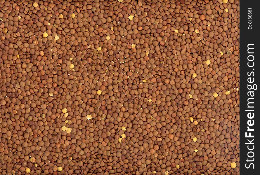 Scan of a random assortment of lentil beans. Scan of a random assortment of lentil beans