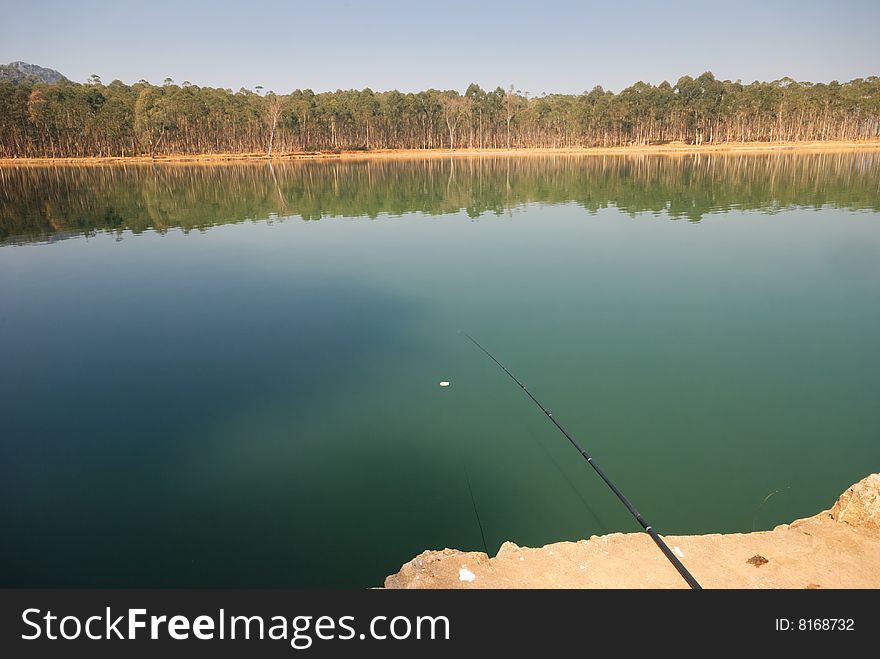 Fishes nearby the scenery beautiful lake water. Fishes nearby the scenery beautiful lake water