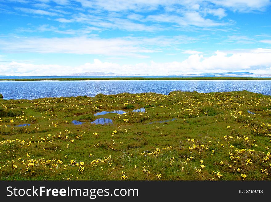 Tibet Scenery