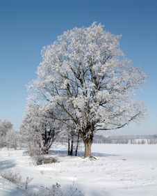 Beautiful Cold Winter Day. Royalty Free Stock Images Beautiful Cold Winter Day. Royalty Free Stock Images