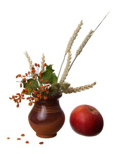 Still Life Stock Images Still Life Stock Images