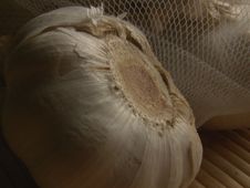 Garlic Royalty Free Stock Images Garlic Royalty Free Stock Images
