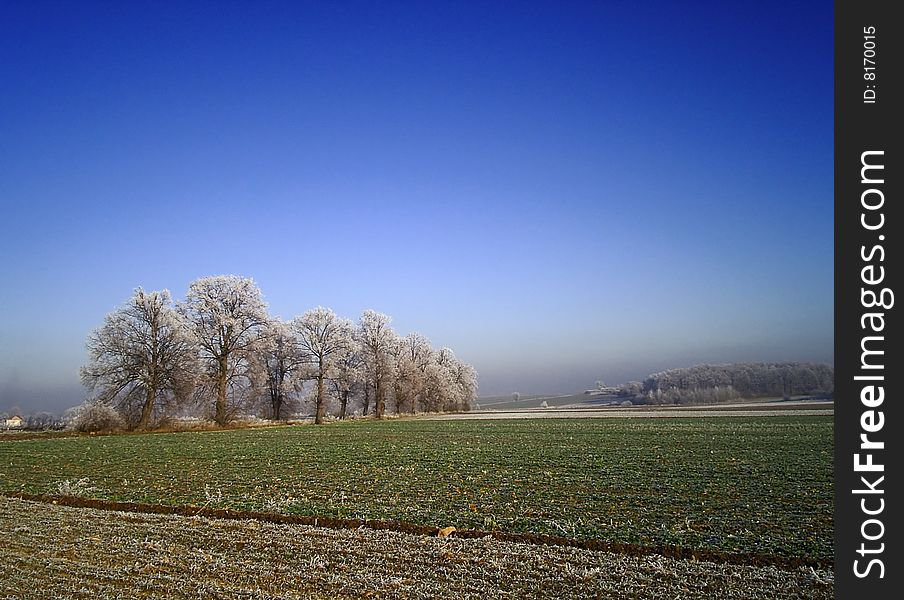 Praktica dc 44, winter, Poland