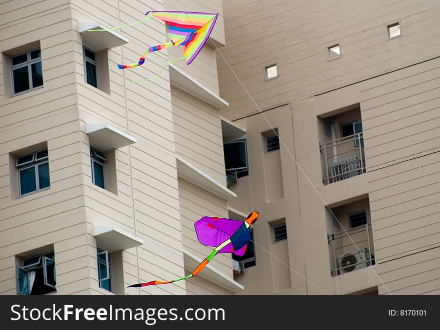 Dragonfly Kite flying in the residential area. Dragonfly Kite flying in the residential area