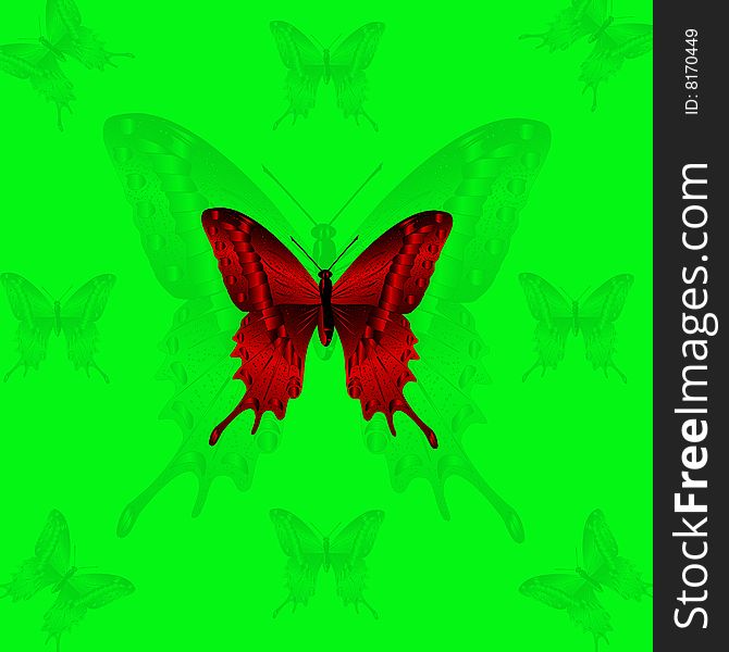 Red butterfly and shade of the butterfly on green background. Red butterfly and shade of the butterfly on green background