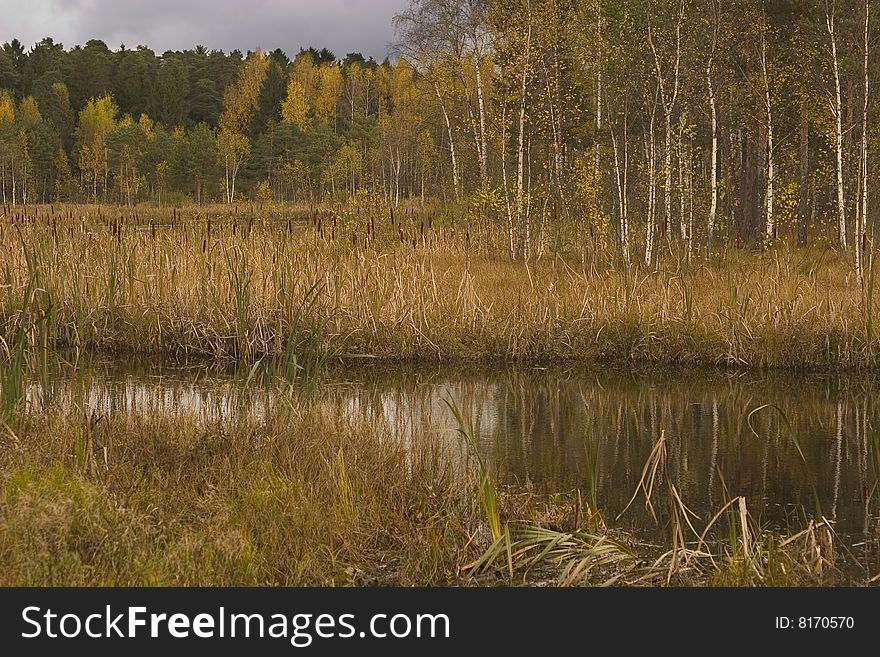 Black Lake In Zelenograd