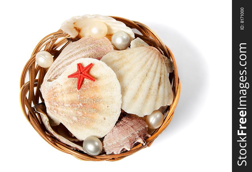 Basket With Sea Shells