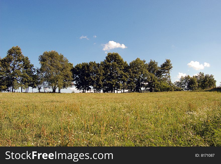 Beautiful landscape. Excellent colors of nature the sky and grass. Beautiful landscape. Excellent colors of nature the sky and grass