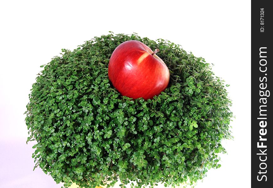 Delightful red apple on a grass. Delightful red apple on a grass