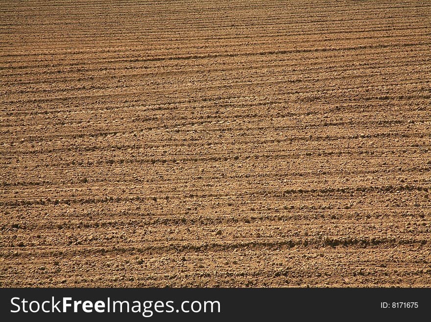 Cultivated field. Background. Spring day.