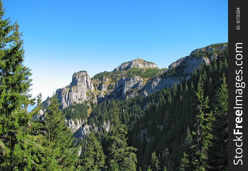 Mountain Top Landscape