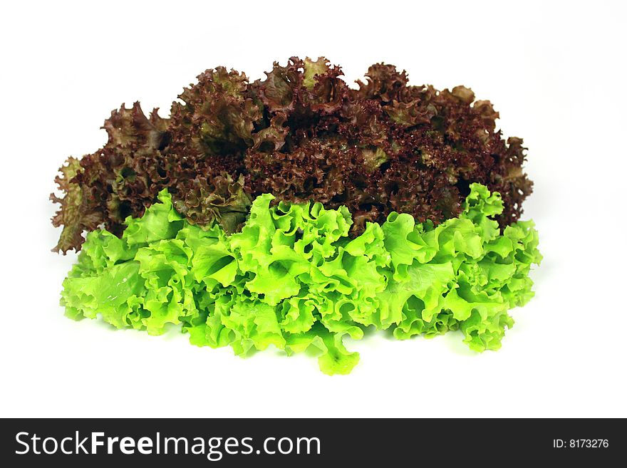 Juicy leaves of lettuce on a white background. Juicy leaves of lettuce on a white background