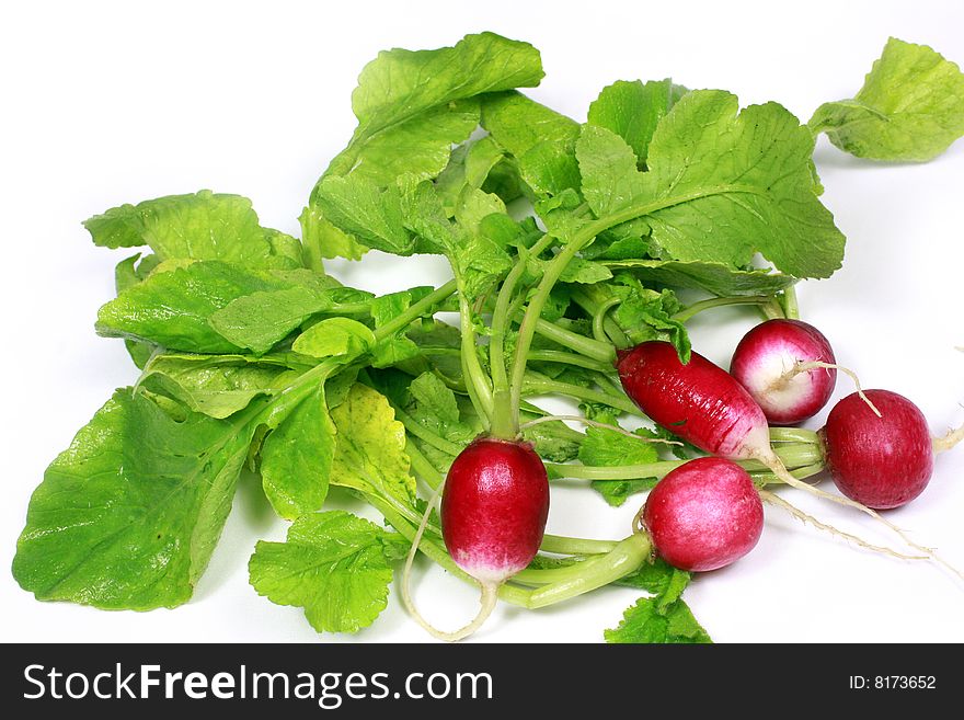 Ripe garden radish on a white background