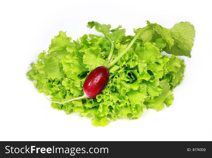 Ripe garden radish on a white background