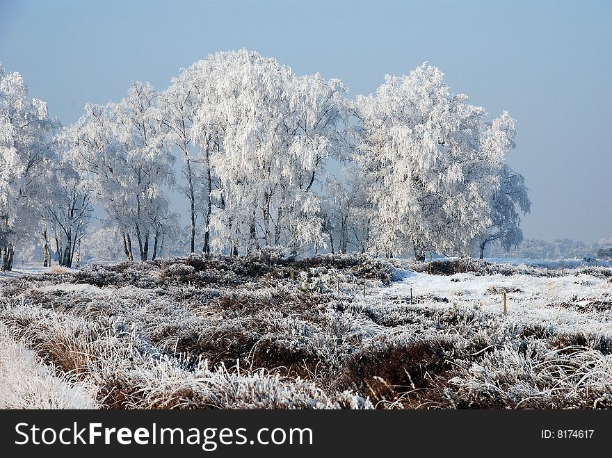 Nature in winter with snow, ice and a clear blue sky. Nature in winter with snow, ice and a clear blue sky