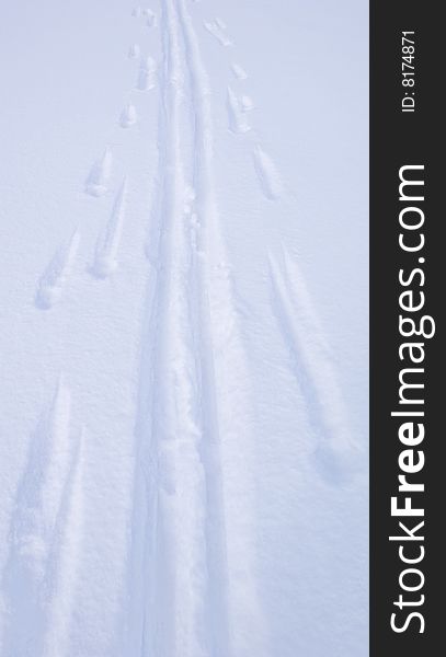 Skking tracks on an ice covered Norwegian mountain lake. Skking tracks on an ice covered Norwegian mountain lake