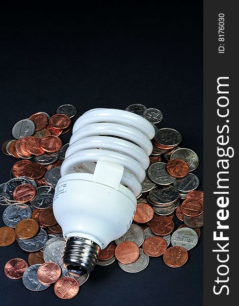 Florescent light bulbs save lots of change in a year.